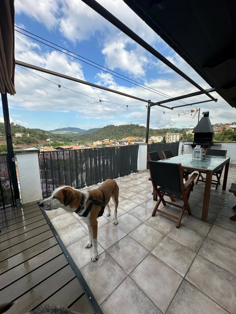 Apartamento Ca L’Aren