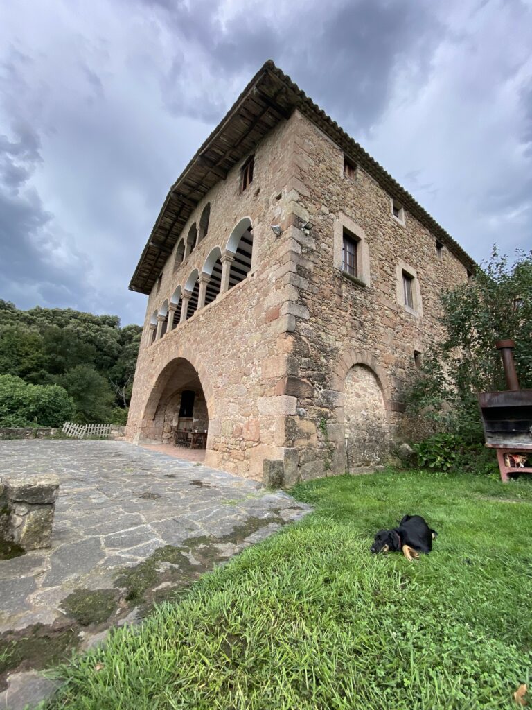perro descansando